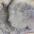 Crystal Filled Dugway Geode (Polished Half) #38870-2